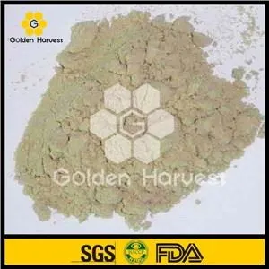 Natural Queen Bee Larvae Lyophilized Powder